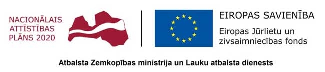 logo-EJZF-8.jpg