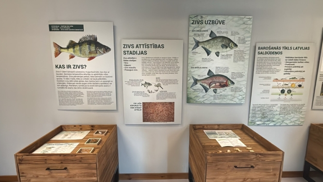 Izstāde "Zvīņu spoguļos"