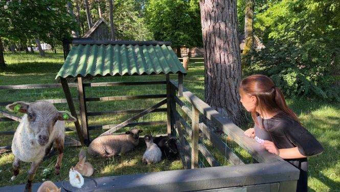 Mini Zoo Buki dzīvnieki