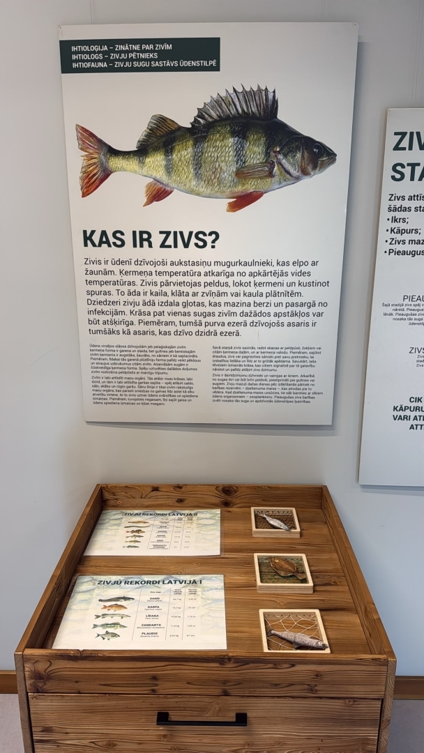 Izstāde "Zvīņu spoguļos"