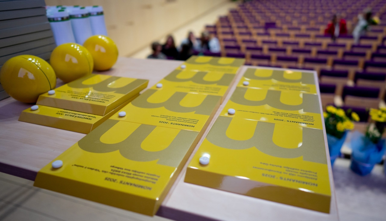 Latvijas Muzeju biedrības Gada balva 2025