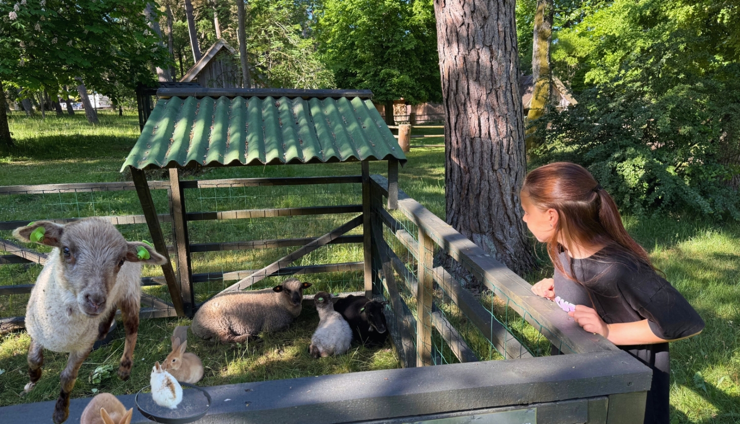 Mini Zoo Buki dzīvnieki