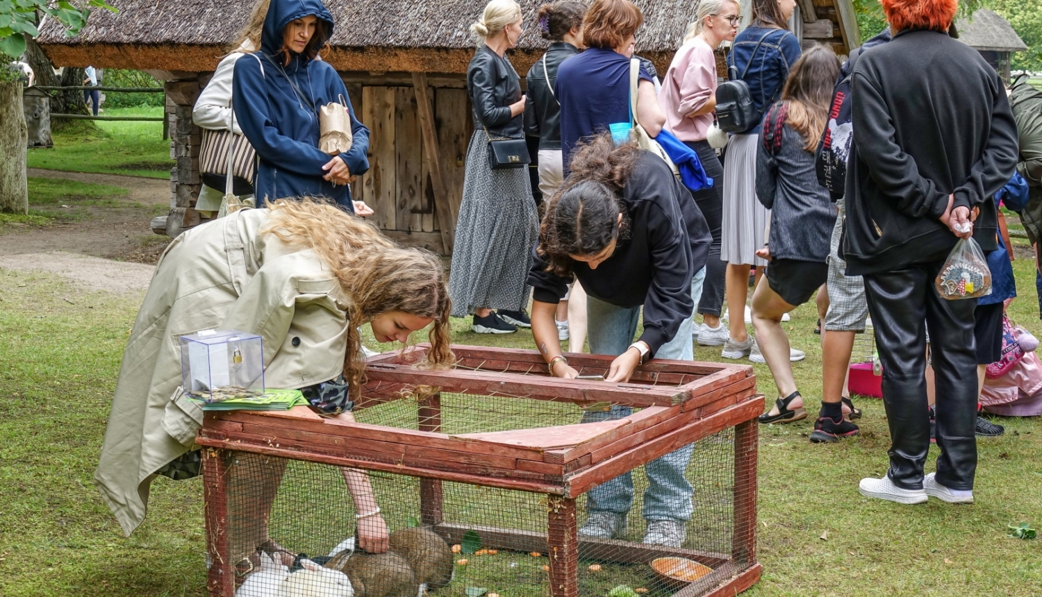 Mini Zoo Buki truši ar Piejūras brīvdabas muzeja apmeklētājiem 