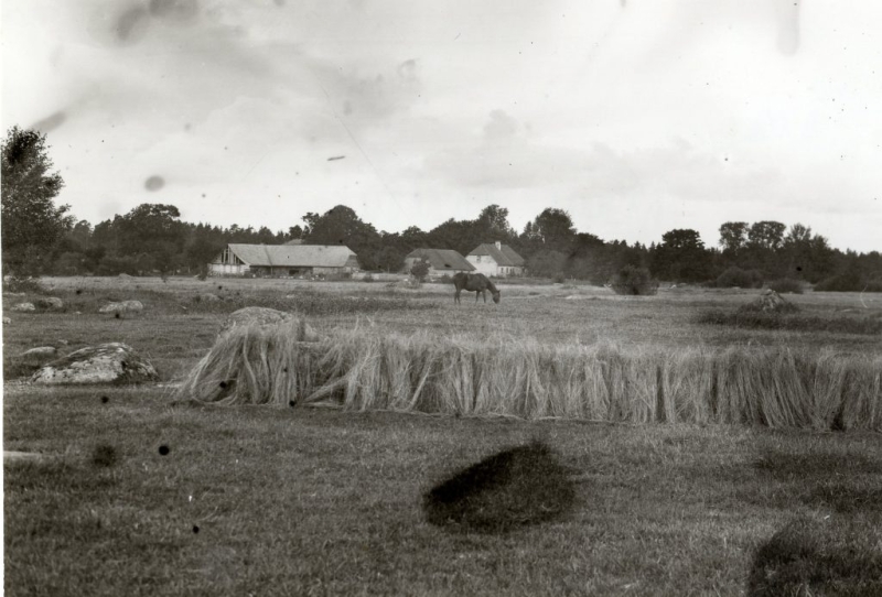 Mazirbe13-1024x694.jpg